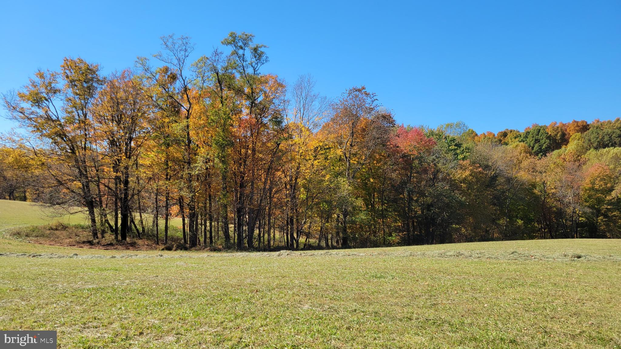 14216 Peddicord Road Mount Airy, MD 21771 - Photo 6 of 11 Panorama #2 view to southwest from home site