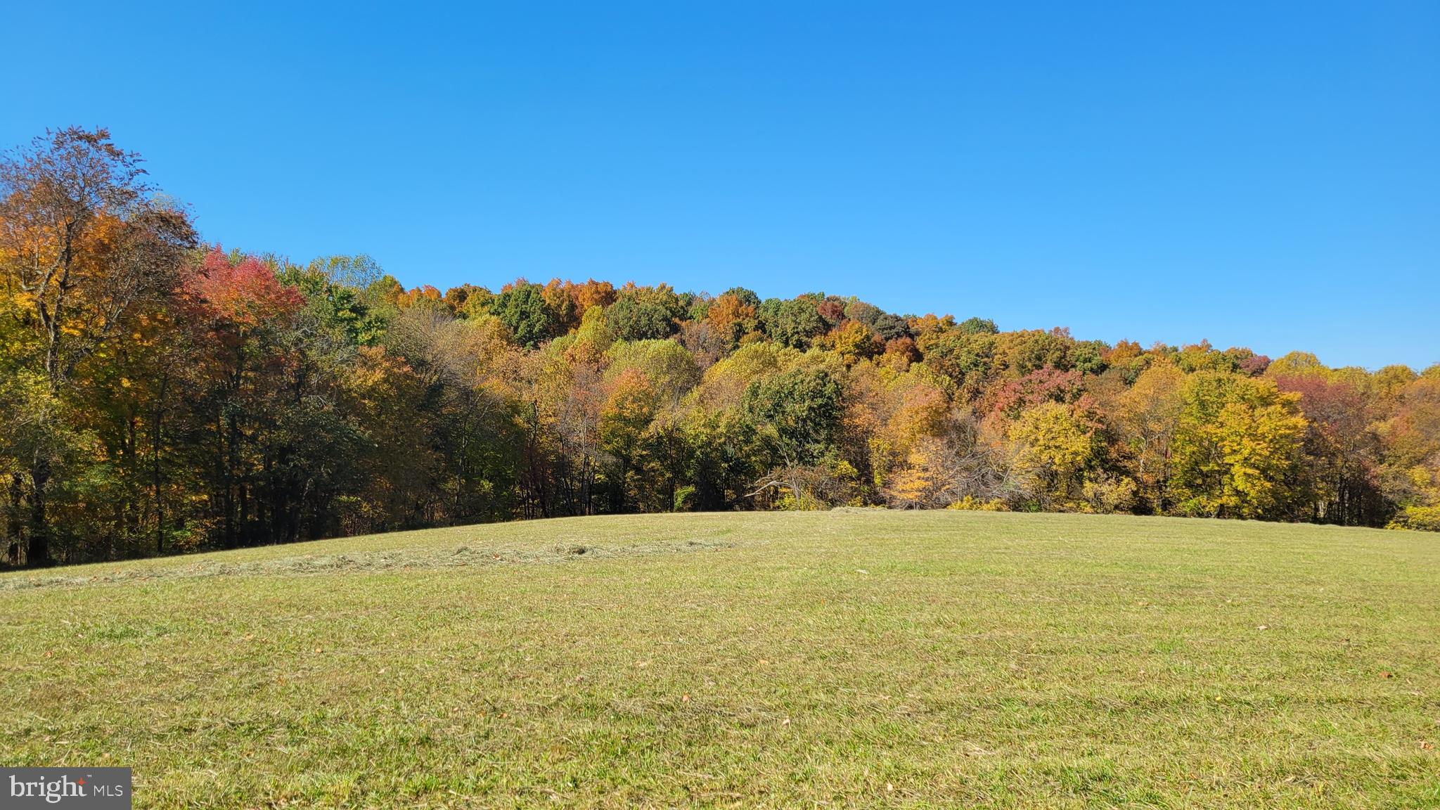 14216 Peddicord Road Mount Airy, MD 21771 - Photo 7 of 11 Panorama #3 view to northwest from home site