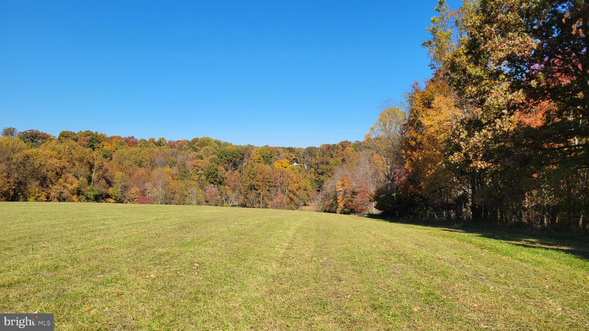 14216 Peddicord Road Mount Airy, MD 21771 - Photo 8 of 11 Panorama #4 view to north from home site