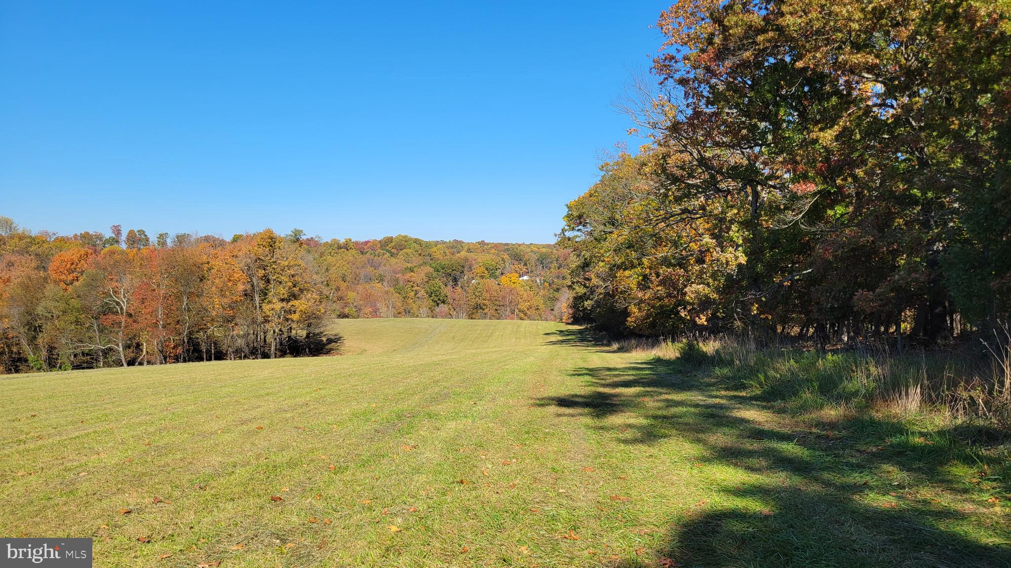 14216 Peddicord Road Mount Airy, MD 21771 - Photo 9 of 11 View to north from alternative home site