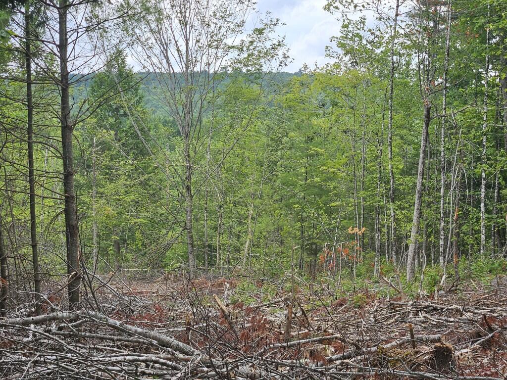 22-03 Rowell Mountain Road Solon, ME 04979 - Photo 8 of 55 20260721_163621