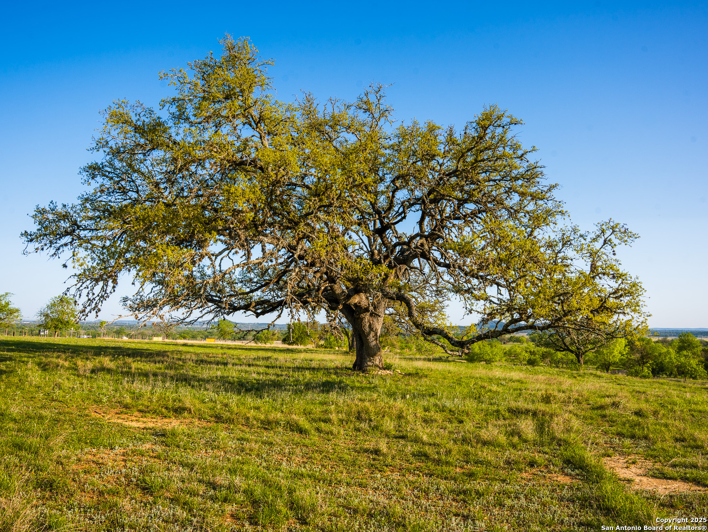 Lot20 Oak Mott Road Comfort, TX 78013 - Photo 5 of 10