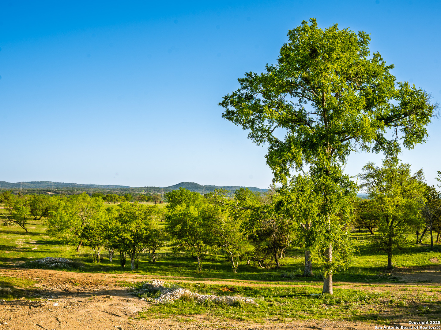Lot20 Oak Mott Road Comfort, TX 78013 - Photo 6 of 10