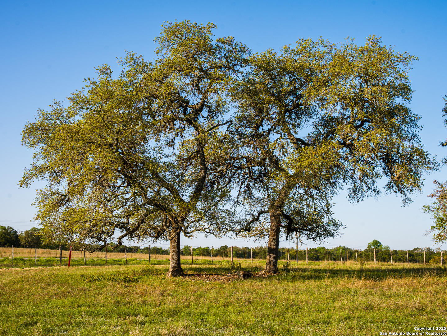 Lot20 Oak Mott Road Comfort, TX 78013 - Photo 7 of 10