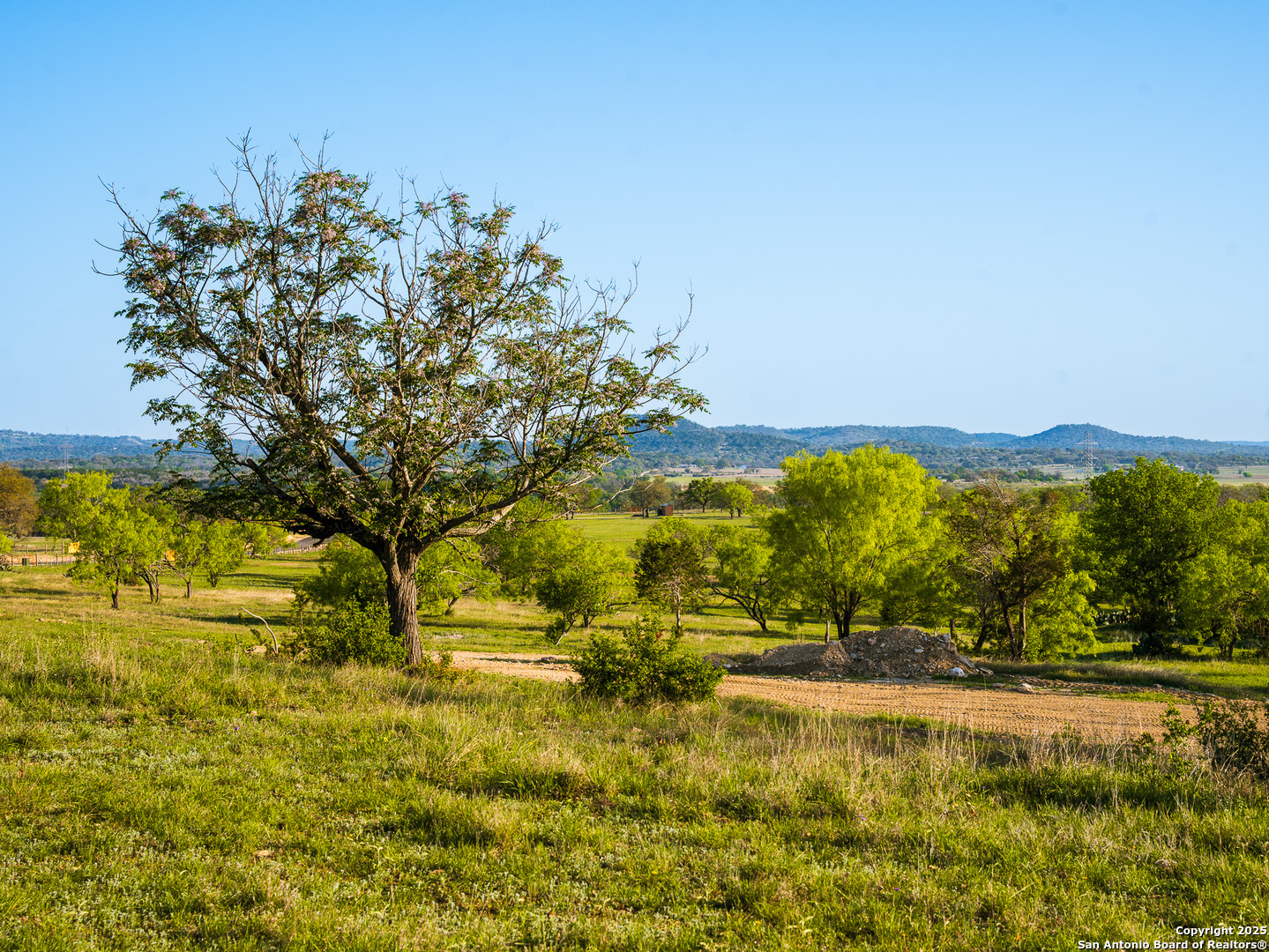 Lot20 Oak Mott Road Comfort, TX 78013 - Photo 8 of 10