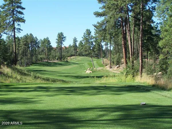 a view of a golf course with a lake