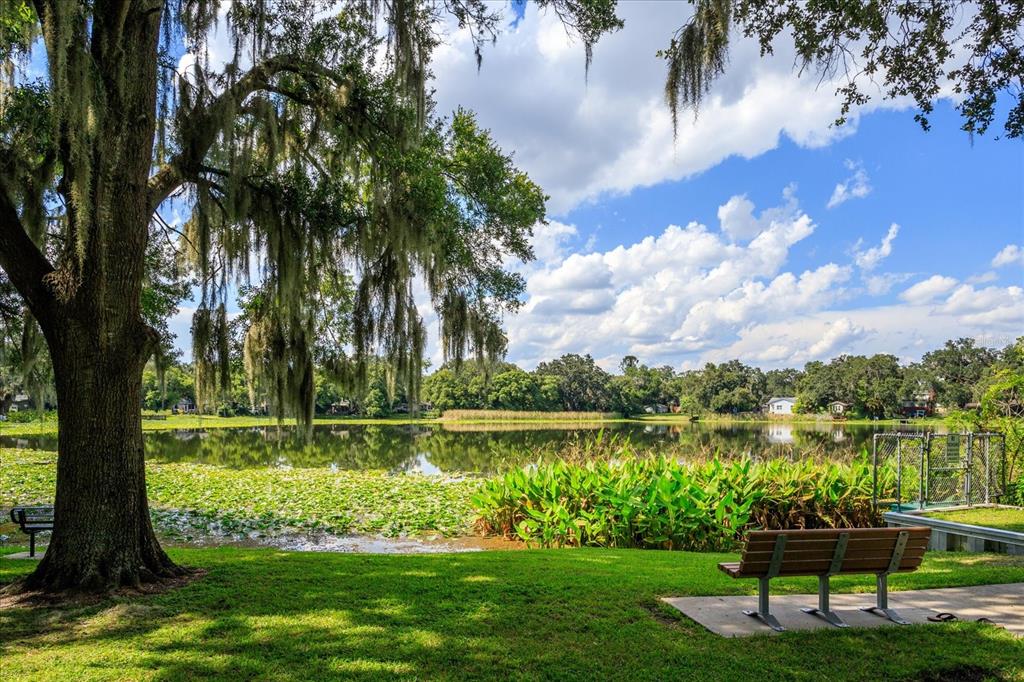 2786 Curry Ford Road, Unit 6B Orlando, FL 32806 - Photo 27 of 27 a garden view with a lake view