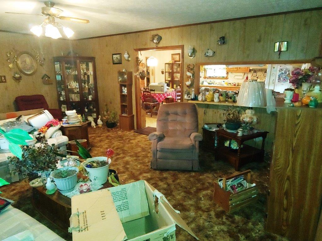 722 Poff School Road Riner, VA 24149 - Photo 14 of 49 a room with lots of potted plants