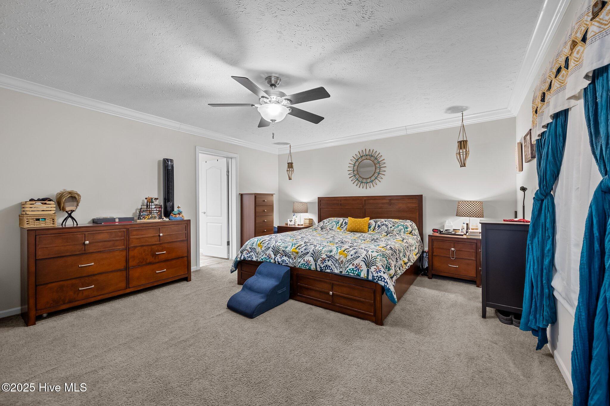 358 Tar Landing Road Holly Ridge, NC 28445 - Photo 18 of 56 5-web-or-mls-_RAD9805