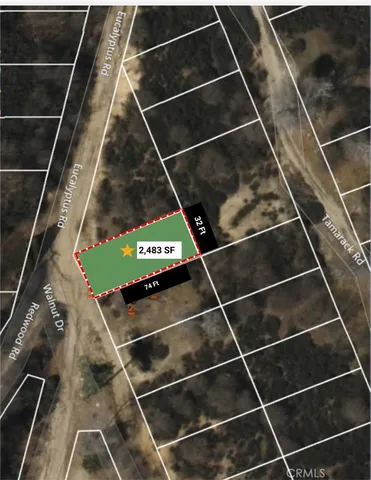 a view of a forest with a forest