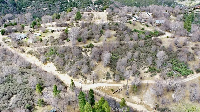 a view of a yard with a plants