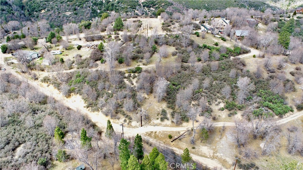 0 Walnut Drive Cedar Glen, CA 92321 - Photo 12 of 34 a view of a yard with a trees