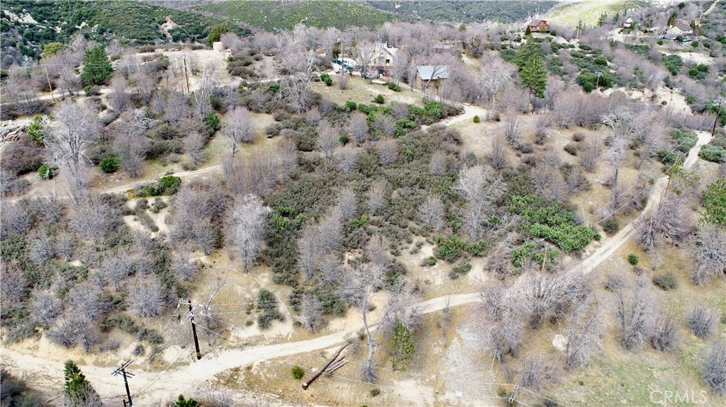 0 Walnut Drive Cedar Glen, CA 92321 - Photo 13 of 34 a view of a yard with a plants