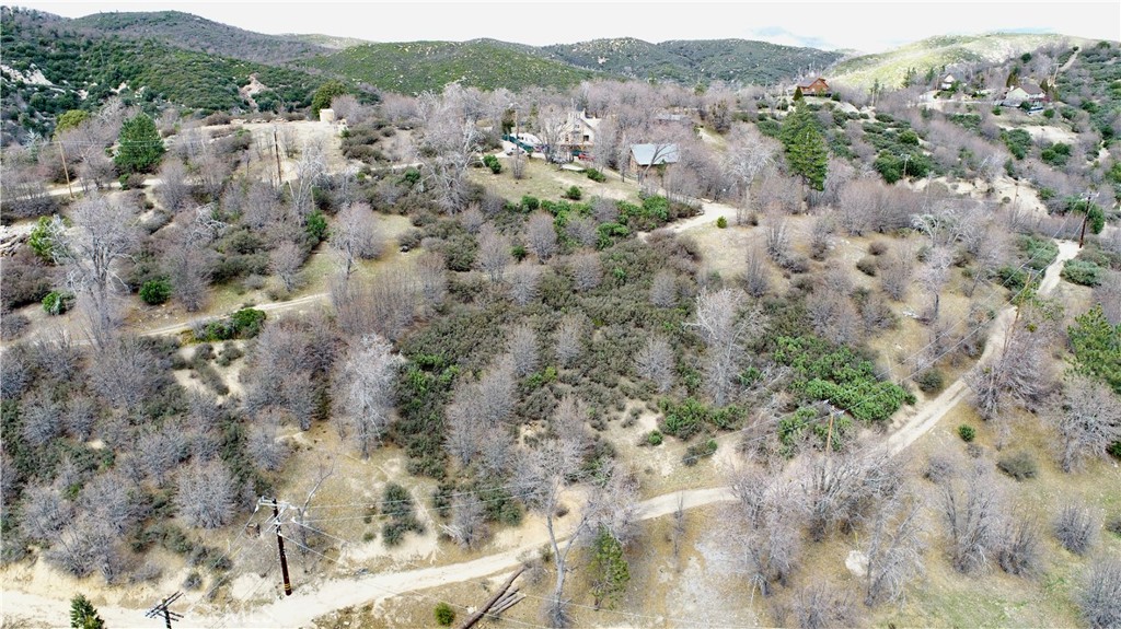 0 Walnut Drive Cedar Glen, CA 92321 - Photo 14 of 34 a view of a forest with a forest