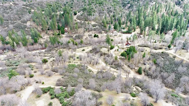 a view of a plant with a yard