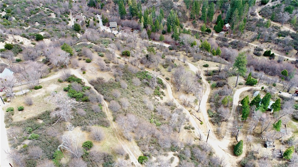 0 Walnut Drive Cedar Glen, CA 92321 - Photo 17 of 34 a view of a forest with a tree