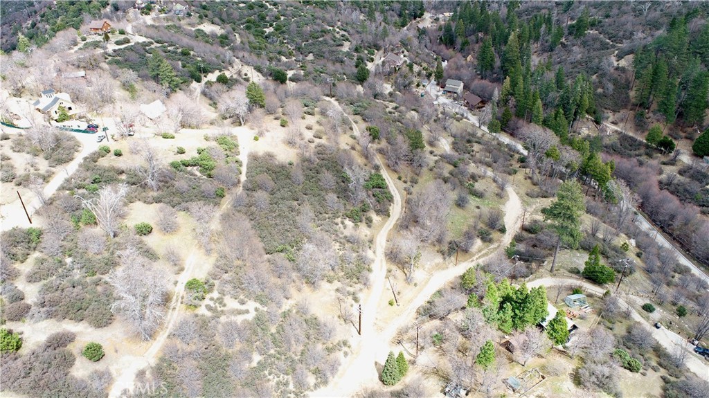 0 Walnut Drive Cedar Glen, CA 92321 - Photo 18 of 34 a view of a yard with a tree