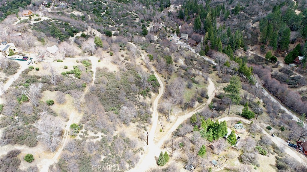 0 Walnut Drive Cedar Glen, CA 92321 - Photo 19 of 34 a view of a yard with a tree