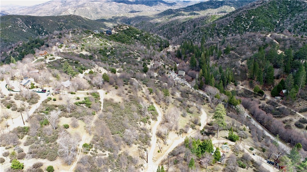 0 Walnut Drive Cedar Glen, CA 92321 - Photo 20 of 34 a view of a forest with trees