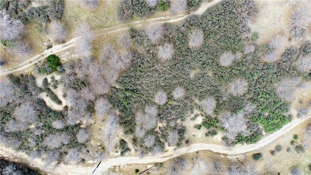 0 Walnut Drive Cedar Glen, CA 92321 - Photo 2 of 34 a view of a forest with a forest
