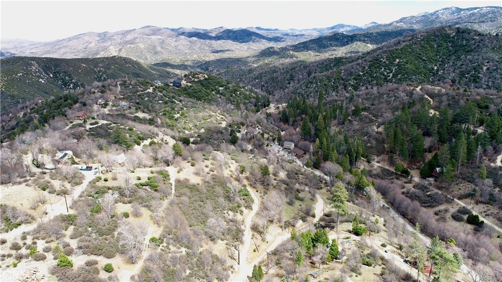 0 Walnut Drive Cedar Glen, CA 92321 - Photo 21 of 34 a view of a forest with a tree