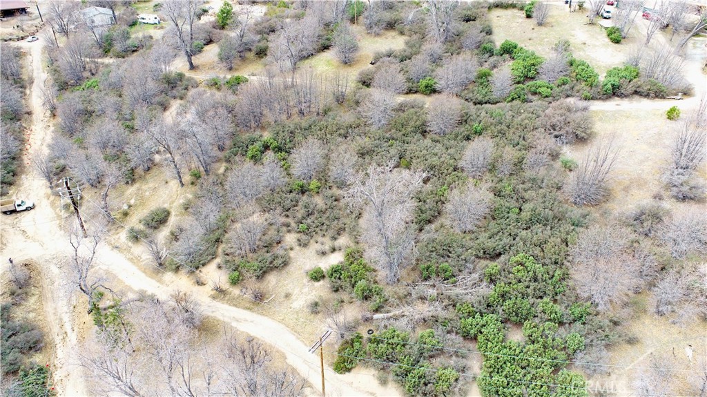 0 Walnut Drive Cedar Glen, CA 92321 - Photo 23 of 34 a view of a yard of a yard