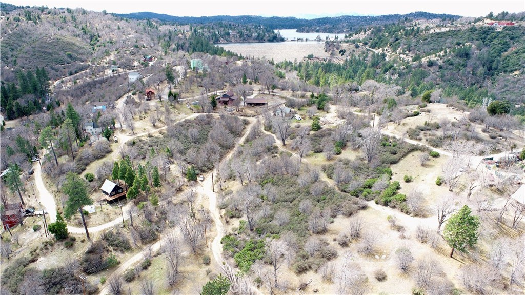 0 Walnut Drive Cedar Glen, CA 92321 - Photo 26 of 34 a view of a forest with a forest