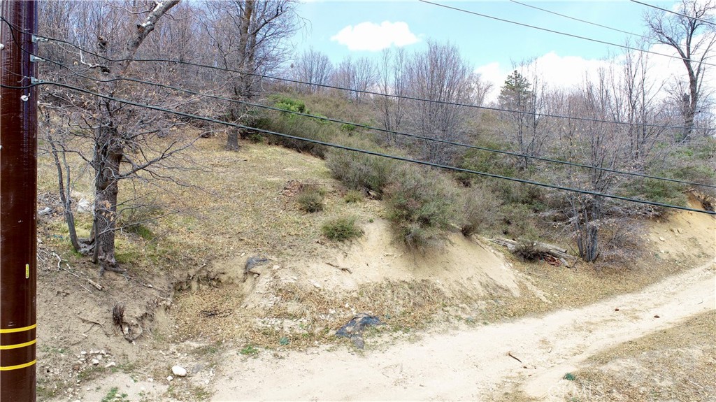 0 Walnut Drive Cedar Glen, CA 92321 - Photo 31 of 34 a view of a yard
