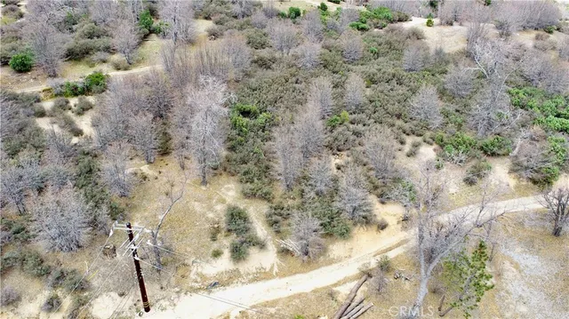 $5,000 | 0 Walnut Drive, Cedar Glen, CA 92321