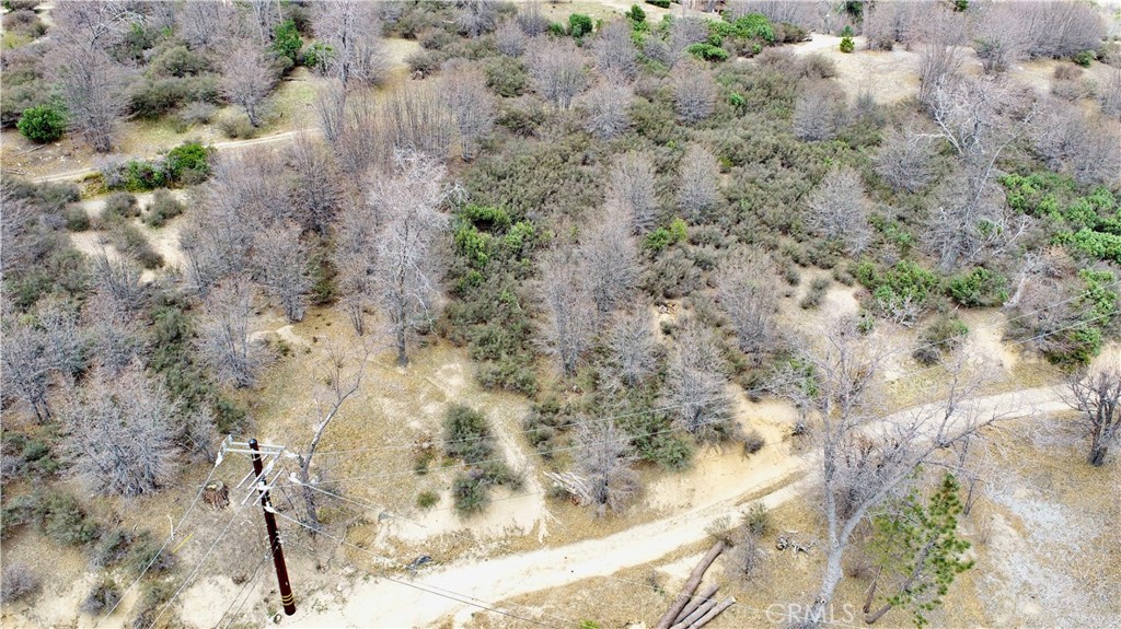 0 Walnut Drive Cedar Glen, CA 92321 - Photo 33 of 34 a view of a dry yard with lots of trees