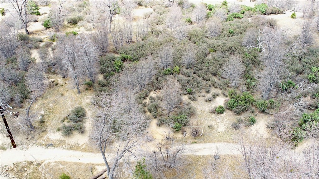 0 Walnut Drive Cedar Glen, CA 92321 - Photo 34 of 34