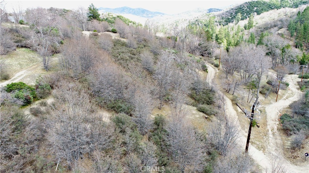 0 Walnut Drive Cedar Glen, CA 92321 - Photo 4 of 34 a view of a forest with lots of trees