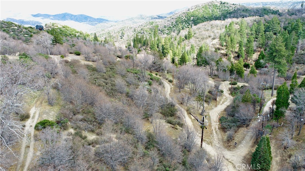 0 Walnut Drive Cedar Glen, CA 92321 - Photo 5 of 34 a view of a forest with a forest