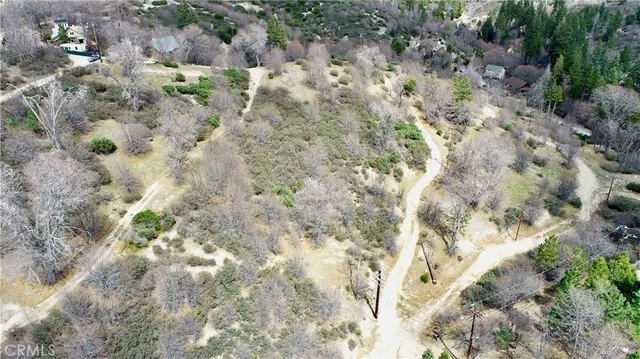 a view of a forest with houses