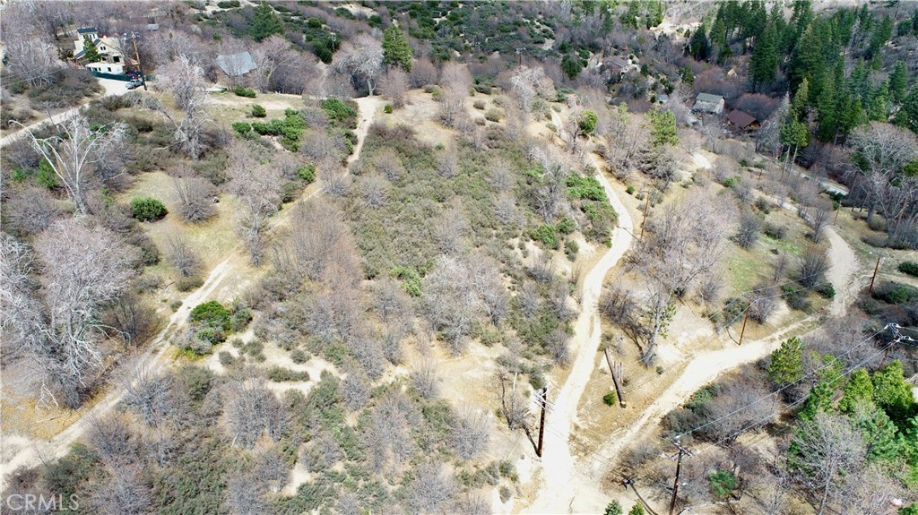 0 Walnut Drive Cedar Glen, CA 92321 - Photo 6 of 34 a view of a plant with lots of trees