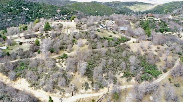 a view of lot of trees