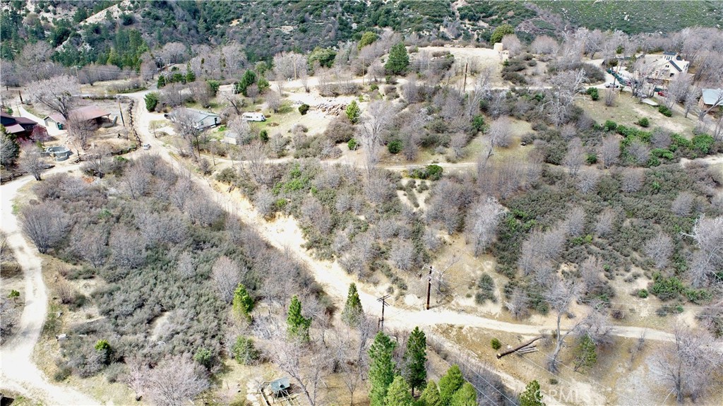 0 Walnut Drive Cedar Glen, CA 92321 - Photo 10 of 34 a view of lot of trees
