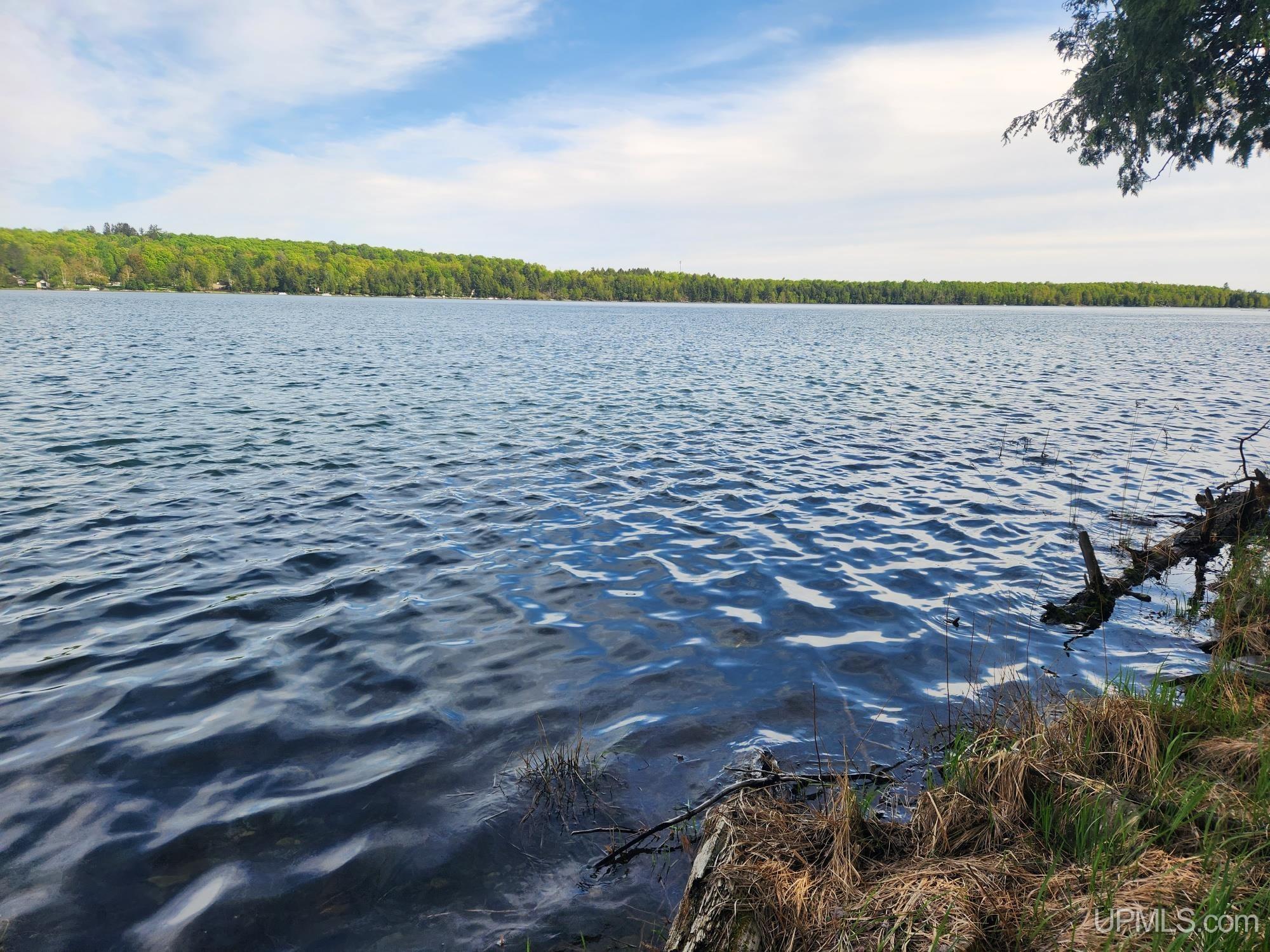 Lot 20 University Road Iron River, MI 49935 - Photo 2 of 23 Gallery Image 2