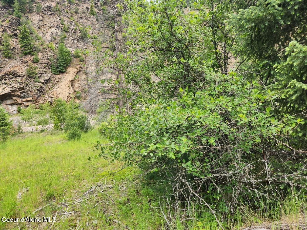 53917 Silver Valley Road Kellogg, ID 83837 - Photo 4 of 13 Center of Lot looking at Elk Creek Rd an