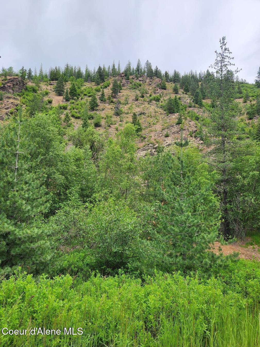 53917 Silver Valley Road Kellogg, ID 83837 - Photo 6 of 13 Lot looking North