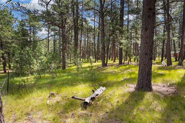 a view of outdoor space with trees