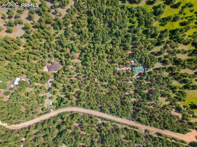 a close up of a tree