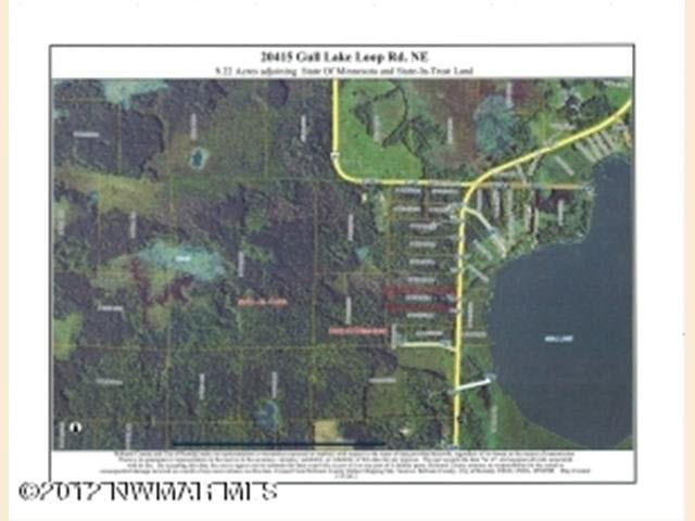 20415 Gull Lake Loop Road Northeast Tenstrike, MN 56683 - Photo 4 of 9 Gallery Image 4