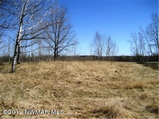 20415 Gull Lake Loop Road Northeast Tenstrike, MN 56683 - Photo 6 of 9 Gallery Image 6