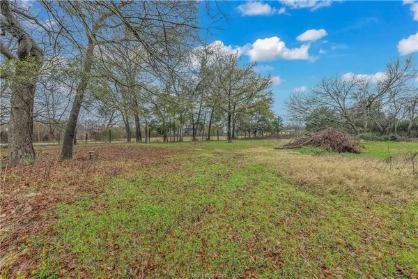 a view of a field with lots of bushes