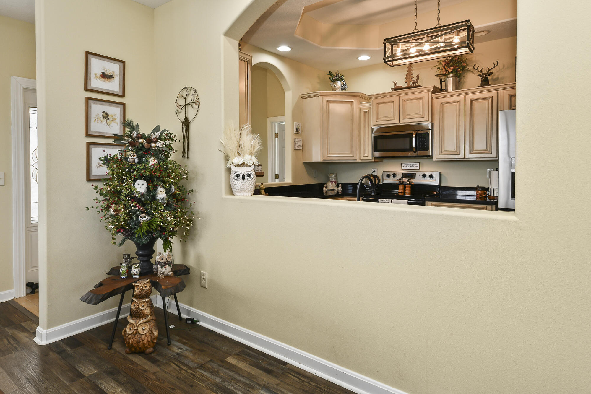 180 Grace Chapel Road, Unit 107 Blue Eye, MO 65611 - Photo 13 of 49 Opening into Kitchen from Living Room