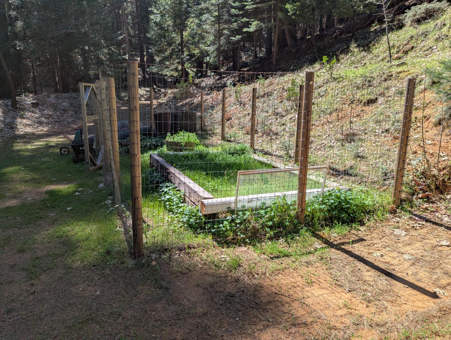 6105 Little Mountain Road Somerset, CA 95684 - Photo 20 of 21 view of yard featuring a vegetable garden