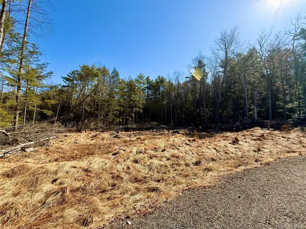$25,000 | Park Lane, Barryville, NY 12719