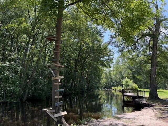 $186,700 | 1482 Hebron Road, Neeses, SC 29107