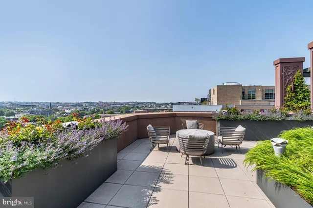 a view of a terrace with lawn chairs